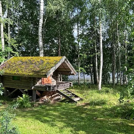 Tyrni Varkaus